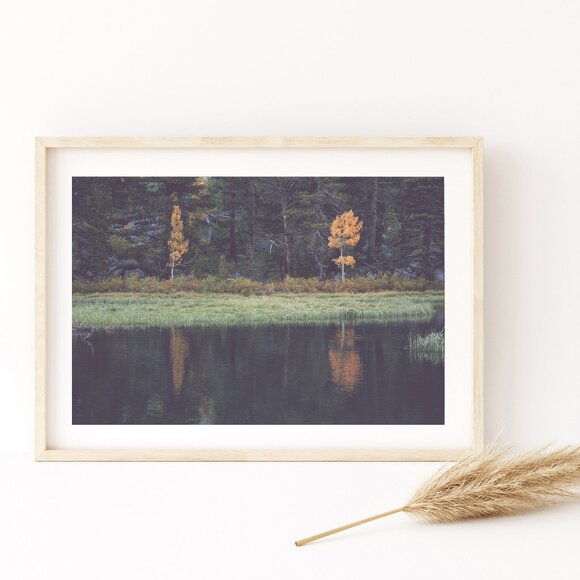 Aspen Reflections Photography